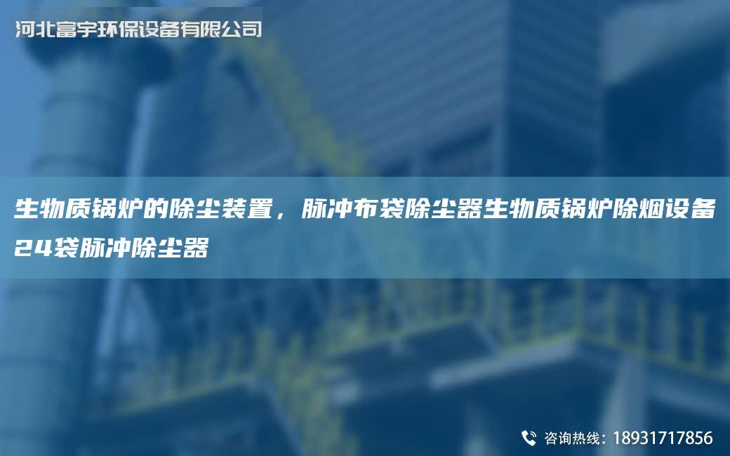 生物質(zhì)鍋爐的除塵裝置，脈沖布袋除塵器生物質(zhì)鍋爐除煙設(shè)備24袋脈沖除塵器