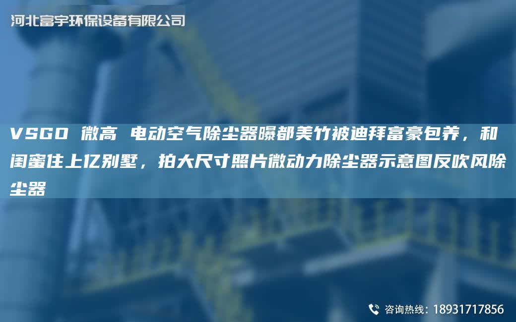 VSGO 微高 電動(dòng)空氣除塵器曝都美竹被迪拜富豪包養(yǎng)，和閨蜜住上億別墅，拍大尺寸照片微動(dòng)力除塵器示意圖反吹風(fēng)除塵器