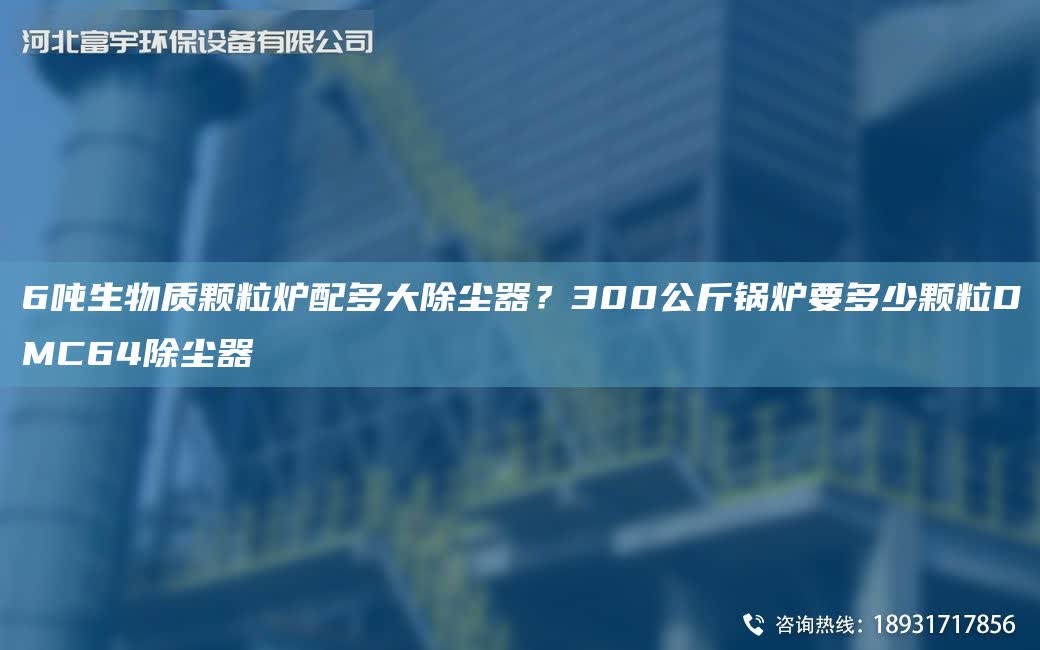 6噸生物質(zhì)顆粒爐配多大除塵器？300公斤鍋爐要多少顆粒DMC64除塵器
