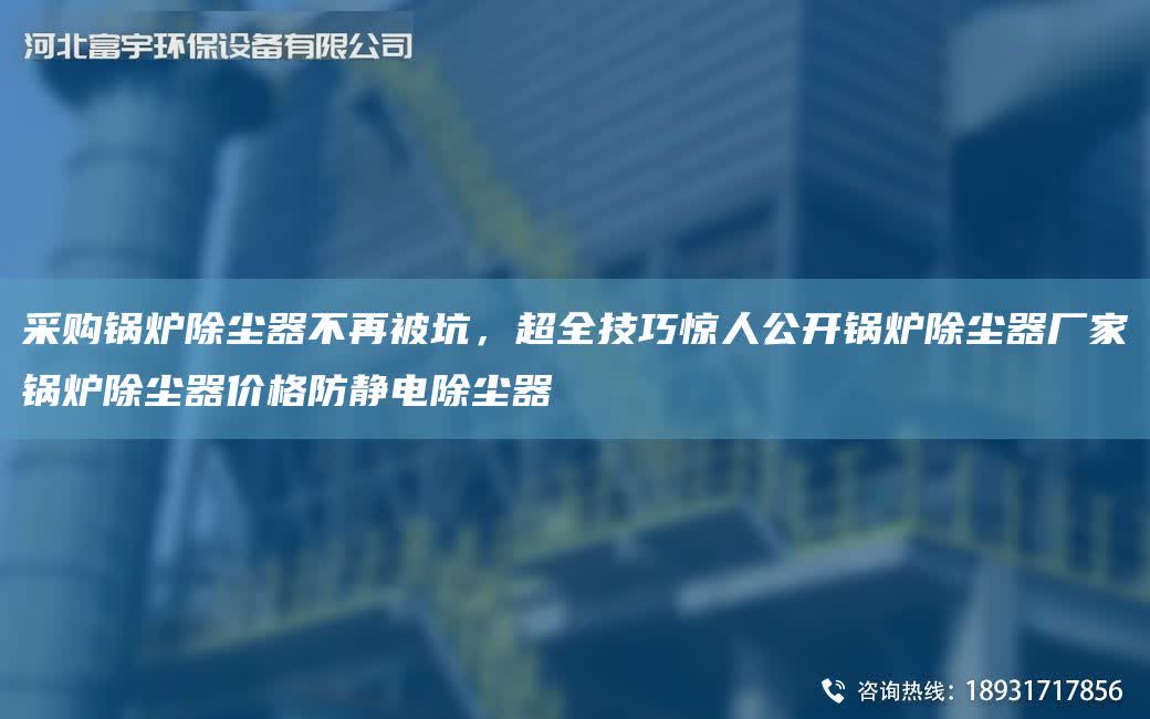 采購鍋爐除塵器不再被坑，CA全技巧驚人公開鍋爐除塵器廠家鍋爐除塵器價格防靜電除塵器
