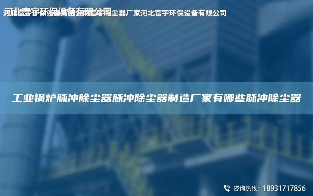 工業(yè)鍋爐脈沖除塵器脈沖除塵器制造廠家有哪些脈沖除塵器