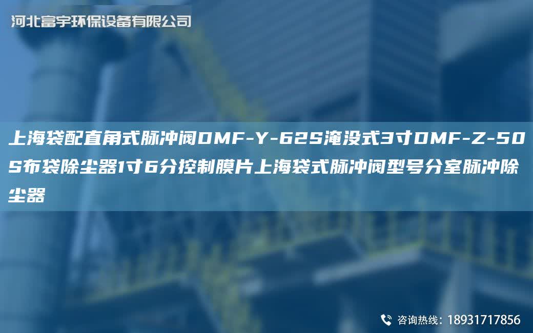 SH袋配直角式脈沖閥DMF-Y-62S淹沒式3寸DMF-Z-50S布袋除塵器1寸6分控制膜片SH袋式脈沖閥型號分室脈沖除塵器