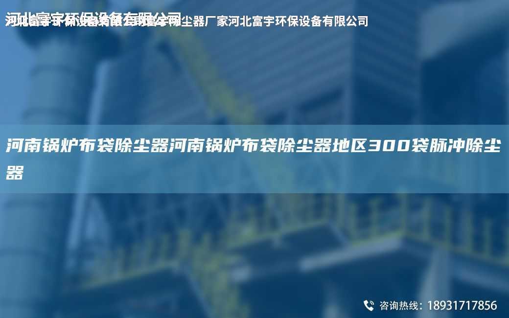河南鍋爐布袋除塵器河南鍋爐布袋除塵器地區300袋脈沖除塵器