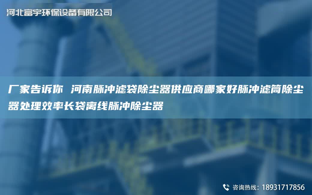廠家告訴你 河南脈沖濾袋除塵器供應商哪家好脈沖濾筒除塵器處理效率長袋離線脈沖除塵器
