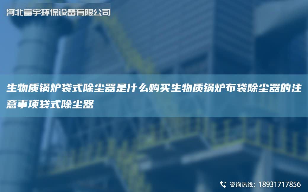 生物質(zhì)鍋爐袋式除塵器是什么購(gòu)買生物質(zhì)鍋爐布袋除塵器的注意事項(xiàng)袋式除塵器