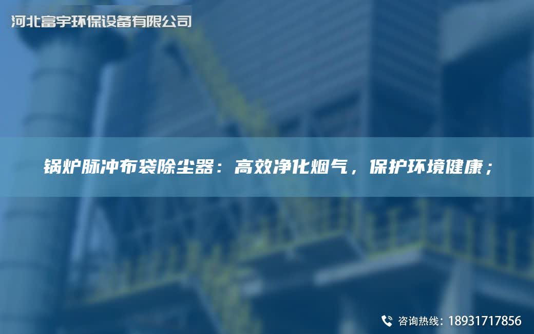 鍋爐脈沖布袋除塵器：高效凈化煙氣，保護環境健康；