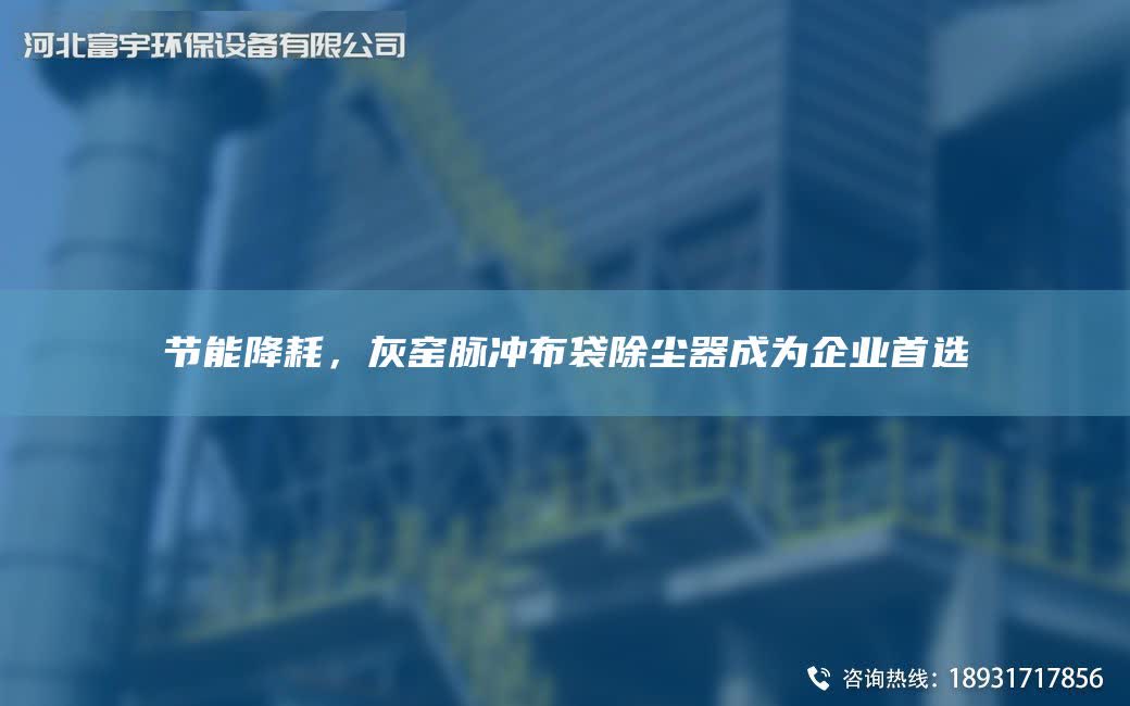節能降耗，灰窯脈沖布袋除塵器成為企業首選