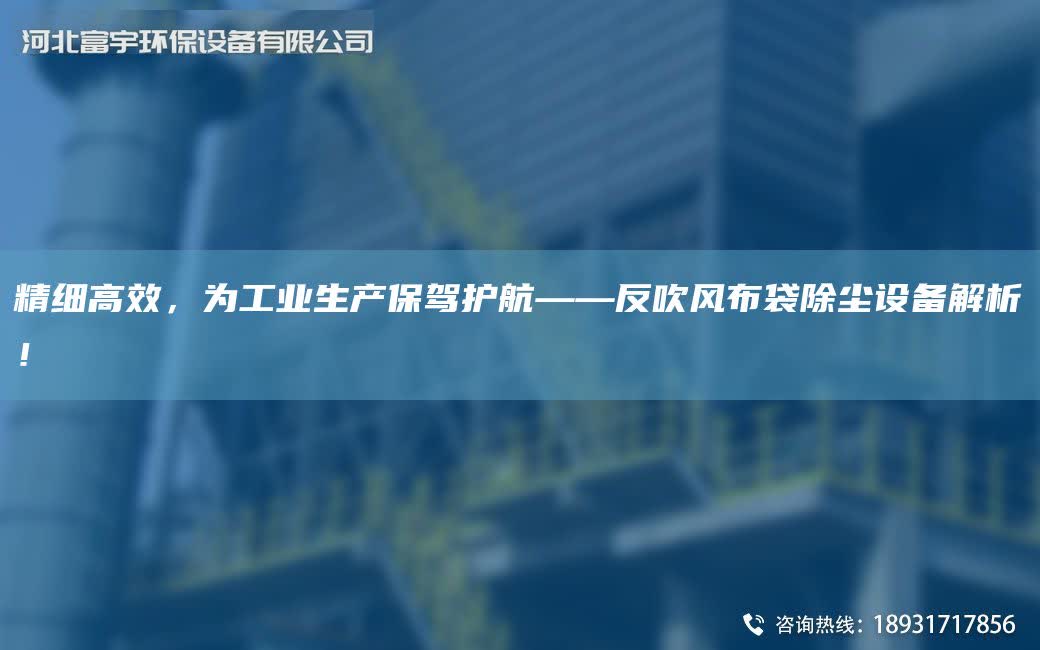 精細高效，為工業生產保駕護航——反吹風布袋除塵設備解析！