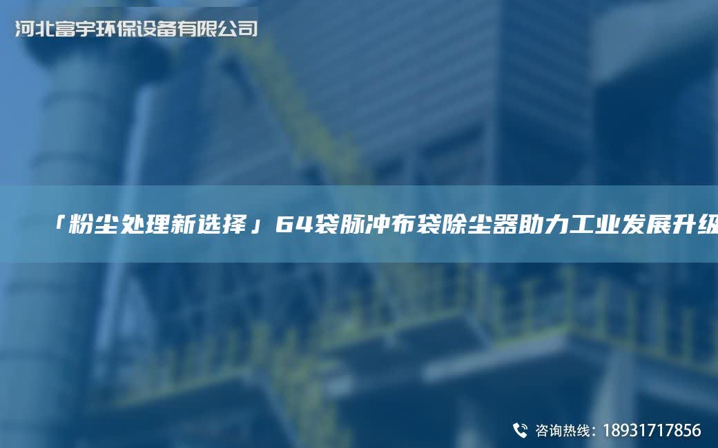 「粉塵處理新選擇」64袋脈沖布袋除塵器助力工業發展升級