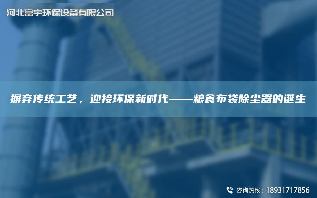 摒棄傳統工藝，迎接環保新時代——糧食布袋除塵器的誕生