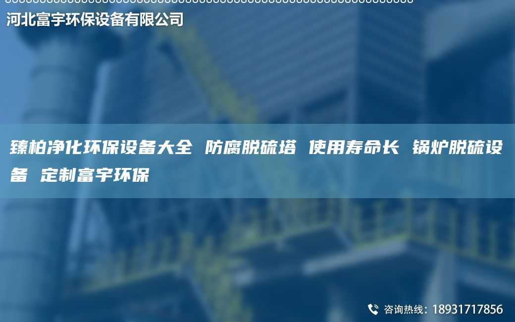 臻柏凈化環保設備大全 防腐脫硫塔 使用壽命長 鍋爐脫硫設備 定制富宇環保