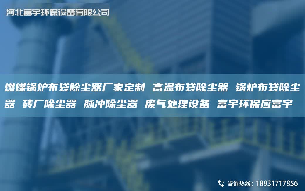 燃煤鍋爐布袋除塵器廠家定制 高溫布袋除塵器 鍋爐布袋除塵器 磚廠除塵器 脈沖除塵器 廢氣處理設備 富宇環保應富宇