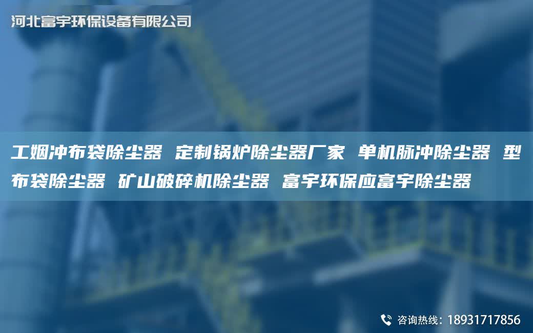 工姻沖布袋除塵器 定制鍋爐除塵器廠家 單機脈沖除塵器 型布袋除塵器 礦山破碎機除塵器 富宇環保應富宇除塵器