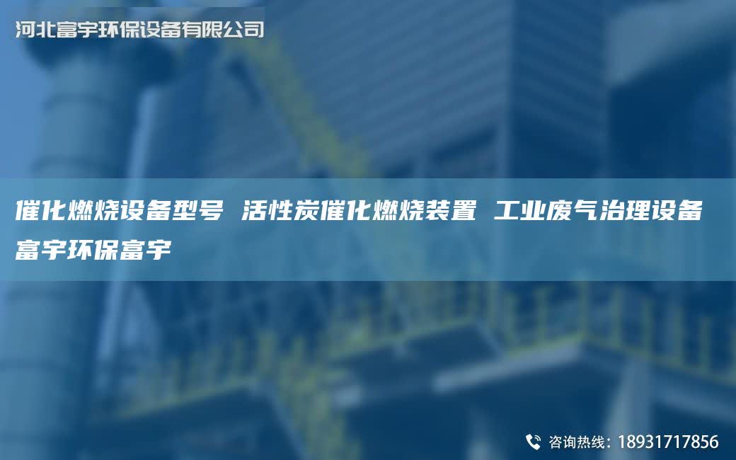 催化燃燒設備型號 活性炭催化燃燒裝置 工業廢氣治理設備 富宇環保富宇