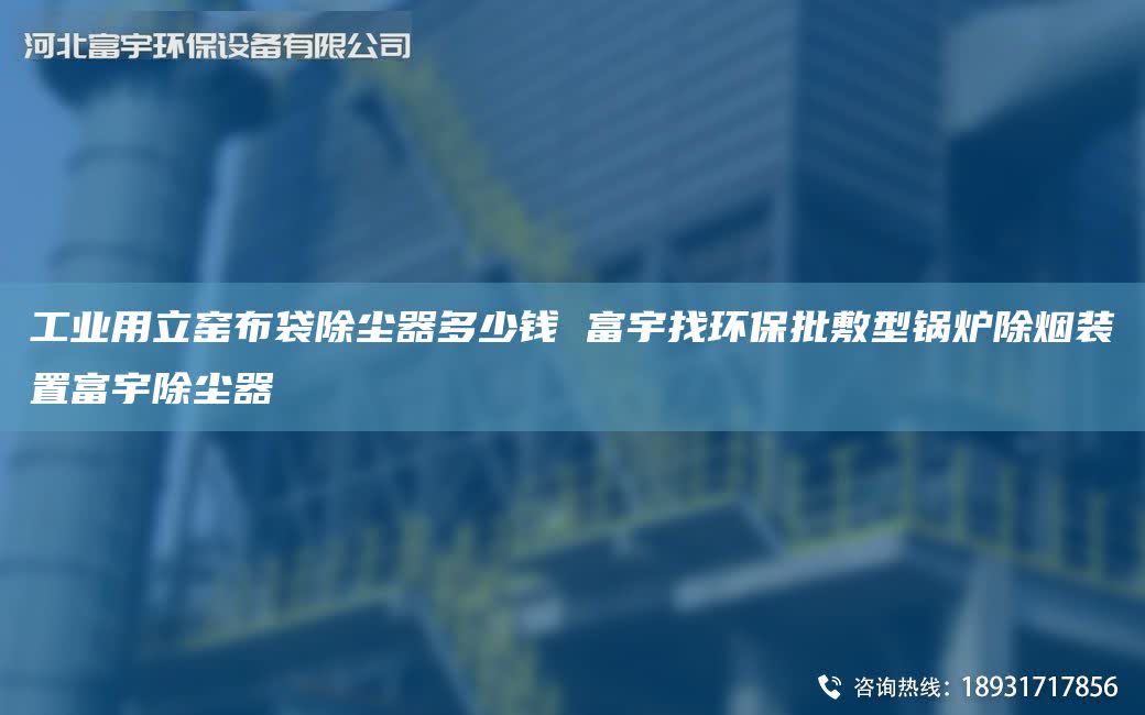 工業(yè)用立窯布袋除塵器多少錢 富宇找環(huán)保批敷型鍋爐除煙裝置富宇除塵器