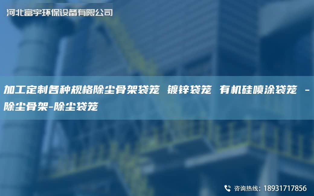 加工定制各種規(guī)格除塵骨架袋籠 鍍鋅袋籠 有機硅噴涂袋籠 -除塵骨架-除塵袋籠