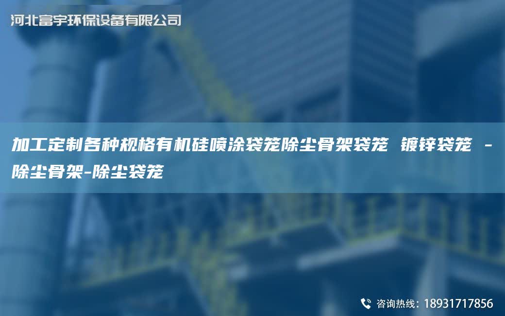 加工定制各種規格有機硅噴涂袋籠除塵骨架袋籠 鍍鋅袋籠 -除塵骨架-除塵袋籠