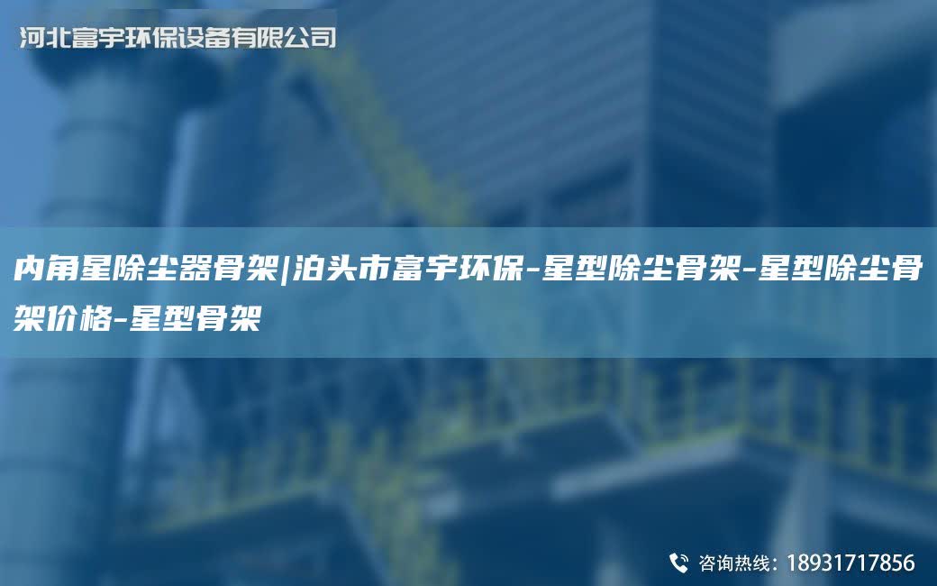 內(nèi)角星除塵器骨架|泊頭市富宇環(huán)保-星型除塵骨架-星型除塵骨架價(jià)格-星型骨架