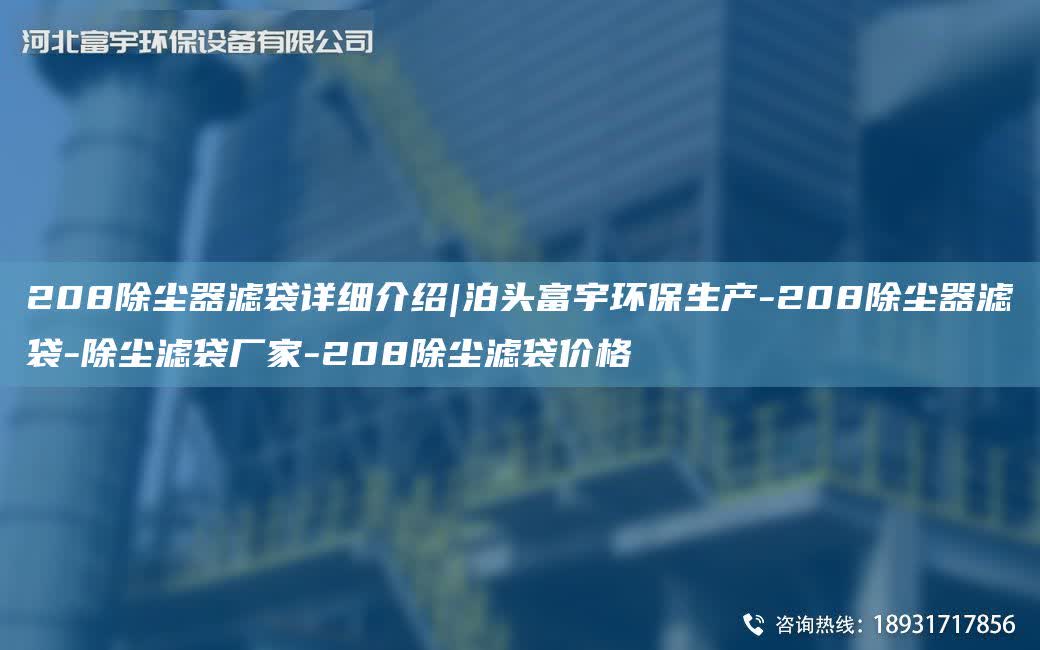 208除塵器濾袋詳細介紹|泊頭富宇環保生產-208除塵器濾袋-除塵濾袋廠家-208除塵濾袋價格