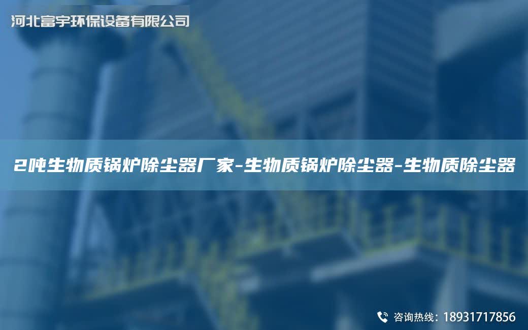 2噸生物質鍋爐除塵器廠家-生物質鍋爐除塵器-生物質除塵器