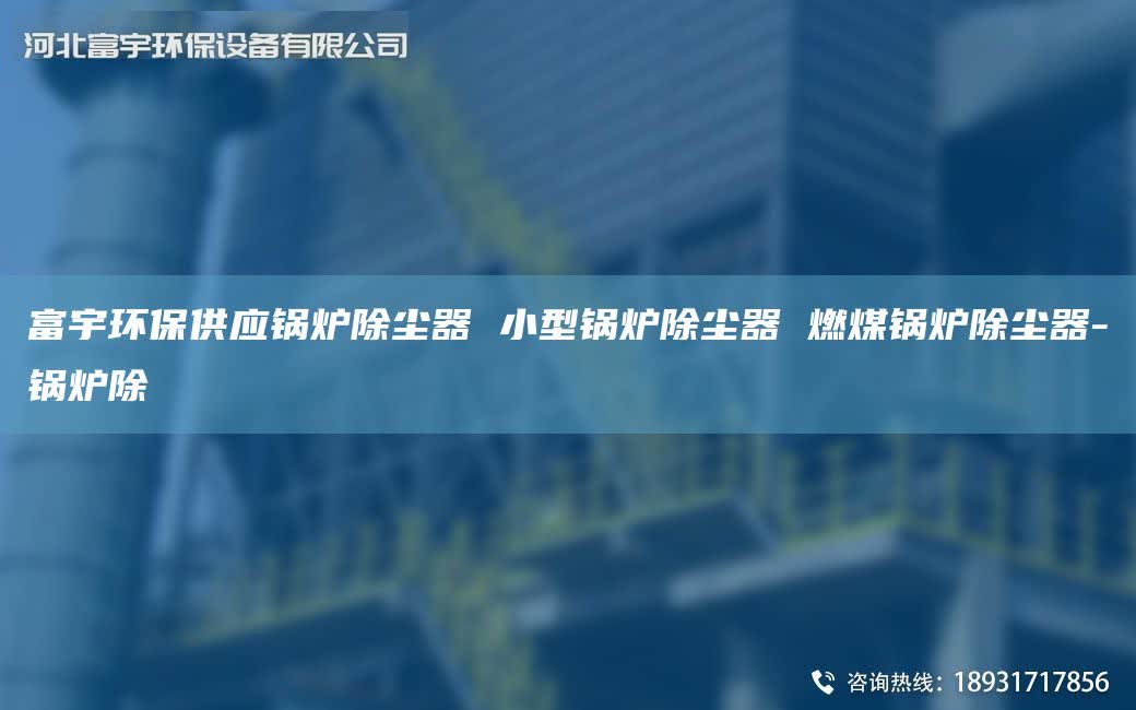 富宇環保供應鍋爐除塵器 小型鍋爐除塵器 燃煤鍋爐除塵器-鍋爐除