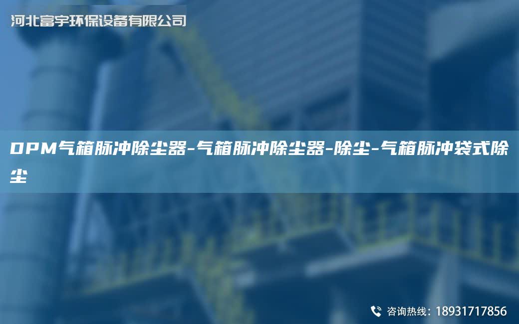 DPM氣箱脈沖除塵器-氣箱脈沖除塵器-除塵-氣箱脈沖袋式除塵