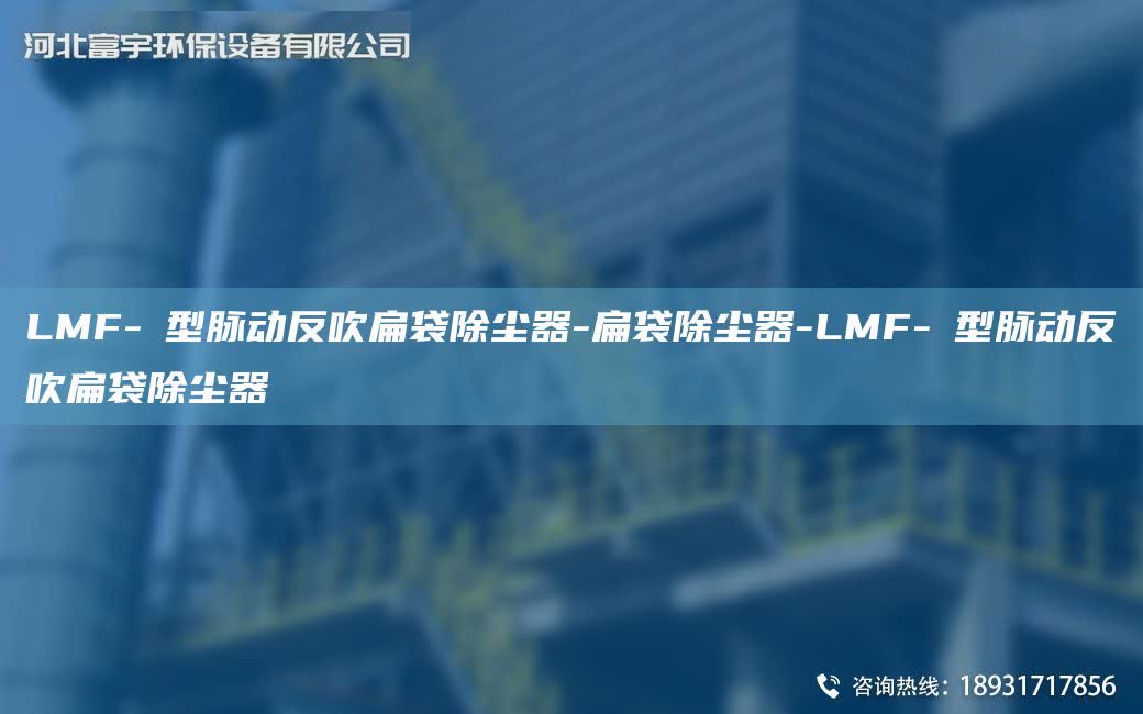 LMF-Ⅱ型脈動反吹扁袋除塵器-扁袋除塵器-LMF-Ⅱ型脈動反吹扁袋除塵器