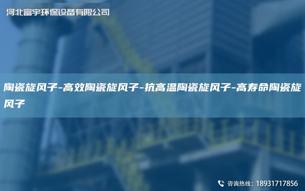 陶瓷旋風子-高效陶瓷旋風子-抗高溫陶瓷旋風子-高壽命陶瓷旋風子