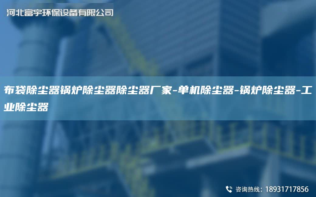 布袋除塵器鍋爐除塵器除塵器廠家-單機除塵器-鍋爐除塵器-工業除塵器