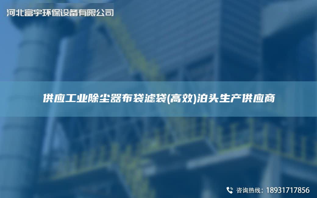 供應(yīng)工業(yè)除塵器布袋濾袋(高效)泊頭生產(chǎn)供應(yīng)商