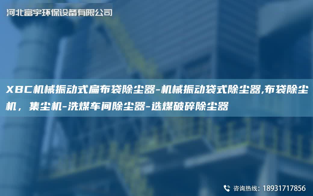 XBC機械振動式扁布袋除塵器-機械振動袋式除塵器,布袋除塵機，集塵機-洗煤車間除塵器-選煤破碎除塵器
