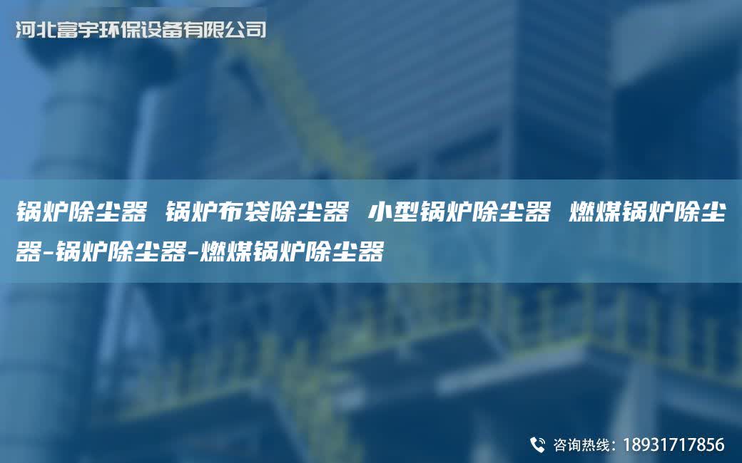 鍋爐除塵器 鍋爐布袋除塵器 小型鍋爐除塵器 燃煤鍋爐除塵器-鍋爐除塵器-燃煤鍋爐除塵器