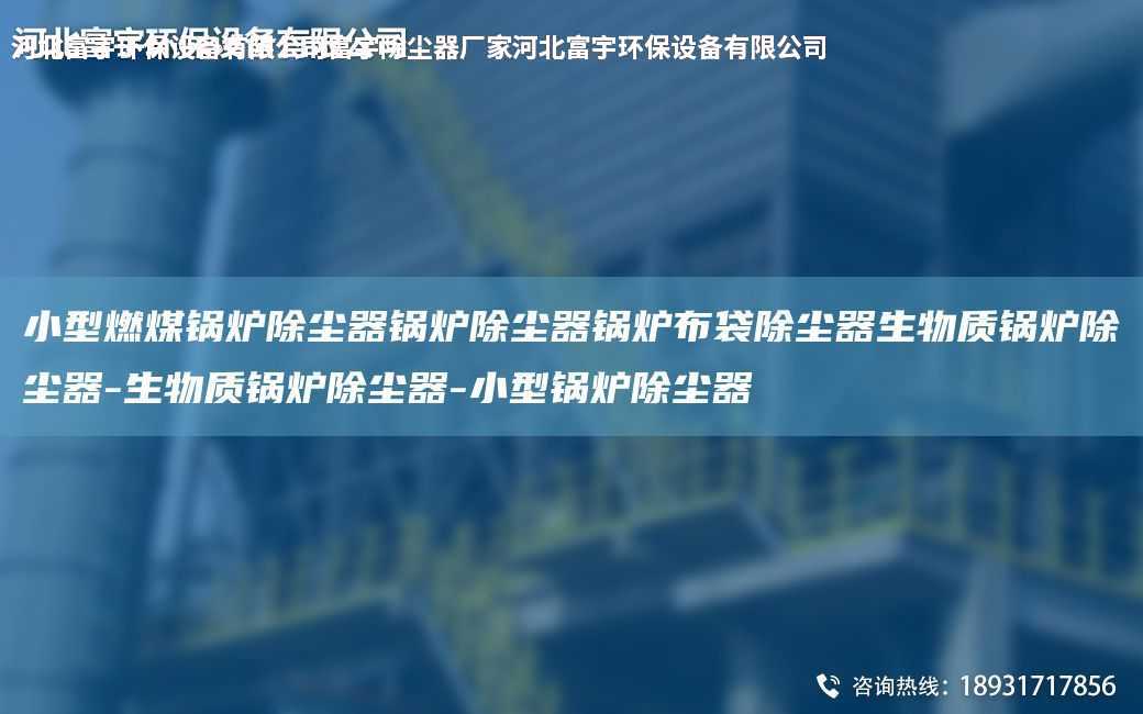 小型燃煤鍋爐除塵器鍋爐除塵器鍋爐布袋除塵器生物質鍋爐除塵器-生物質鍋爐除塵器-小型鍋爐除塵器