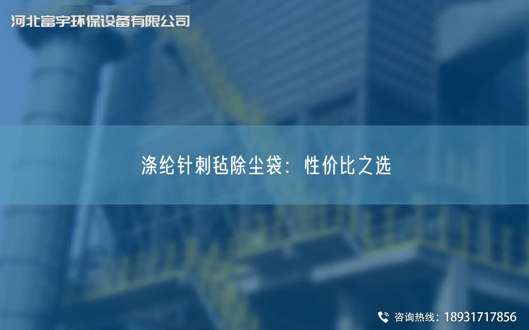 滌綸針刺氈除塵袋：性價比之選